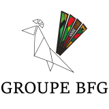 bfg logo